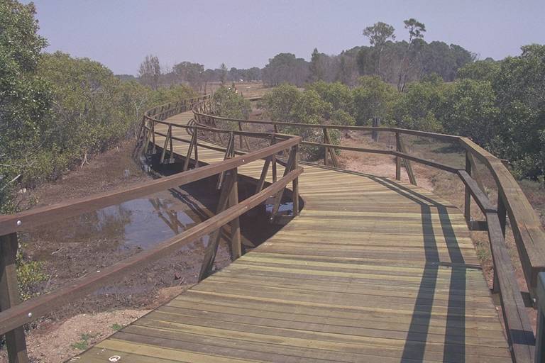 Wetland Boardwalk