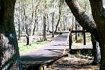 boardwalk and observation deck sovereign waters.jpg