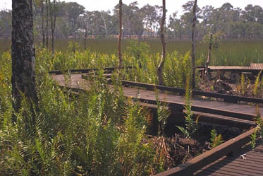 Outdoor Structures Australia - Boardwalks