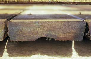 A timber decking plank cross-section.