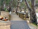 Deniliquin Boardwalk
