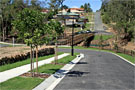 Everton Hills Log Bridge