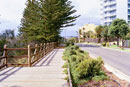 Point Cartwright - established gardens