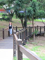 Ferry Boardwalk view 1