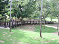Ferry Boardwalk view 2