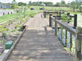 5: Boardwalk & handrail