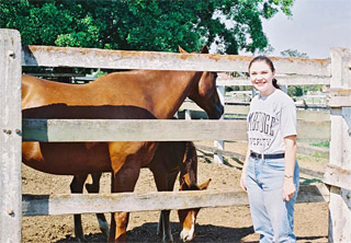 Timber horse fencing