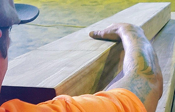 Quality: Part of Outdoor Structures Australia’s purpose