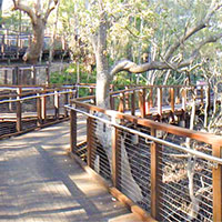 David Fleay Wildlife Park