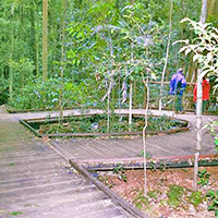 Mary Cairncross Park (Caloundra City Council)