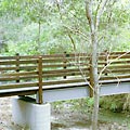 Vertical timber rail 145 by 44 image